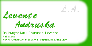 levente andruska business card